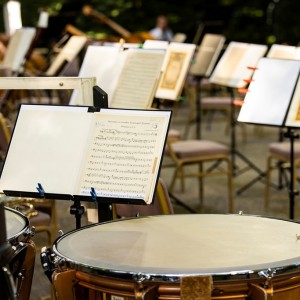 Beethoven a természet ölén, újra Martonvásáron