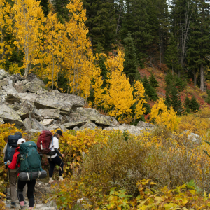 Eredményes évet zárt a Columbia első Hike Society programja